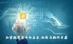 加密数字货币的未来：机