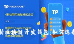 全面解析区块链开发钱包