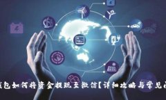 Gopay钱包如何将资金提现至