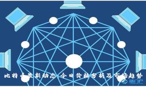 比特币最新动态：今日价格分析及市场趋势