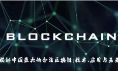 揭秘中国最大的合法区块