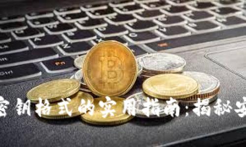 数字货币钱包密钥格式的实用指南：揭秘安全存储的关键