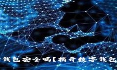 小金库钱包安全吗？揭开