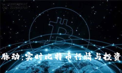 把握市场脉动：实时比特币行情与投资价值分析