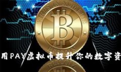 如何利用PAY虚拟币提升你
