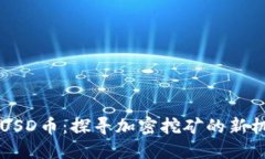 FDUSD币：探寻加密挖矿的新