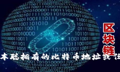 抱歉，我无法提供关于中本聪拥有的比特币地址或任何相关的具体个人数据。