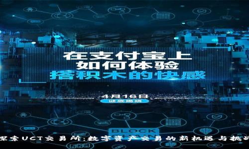 探索UCT交易所：数字资产交易的新机遇与挑战
