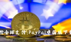轻松掌控全球支付：PayP