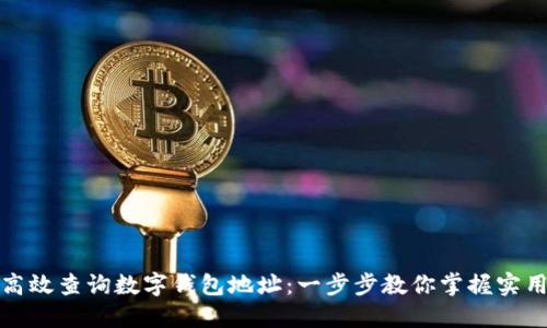 如何高效查询数字钱包地址：一步步教你掌握实用技巧