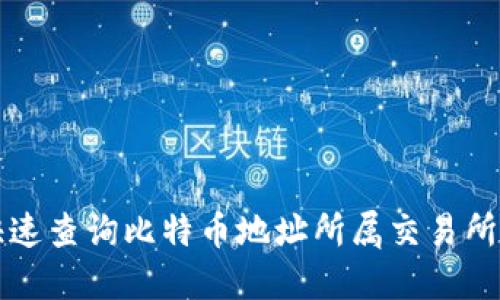 如何快速查询比特币地址所属交易所的方法
