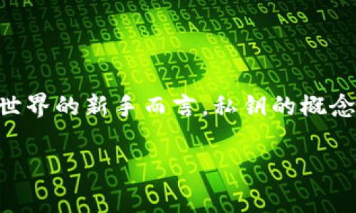 只有私钥可以找回钱包吗？深度解析数字钱包安全

在如今这个数字资产交易日益频繁的时代，数字钱包的安全性成为了每一个投资者关注的焦点。特别是对于那些初入区块链世界的新手而言，私钥的概念如同一把开启财富大门的钥匙。那么，只有私钥才能找回钱包吗？这个问题看似简单，实则蕴含着深刻的安全知识和技术原理。

Unlocking Your Crypto Wallet: The Essential Role of Private Keys