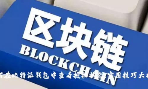 如何在比特派钱包中查看授权状态：实用技巧大揭秘