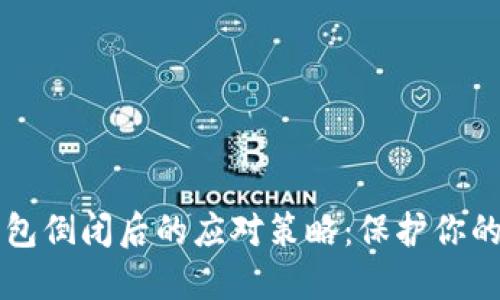 虚拟币钱包倒闭后的应对策略：保护你的数字资产