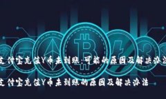 支付宝充值Y币未到账：可