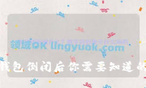 数字货币钱包倒闭后你需要知道的应对措施