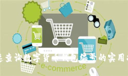 快速查询数字货币钱包编号的实用指南