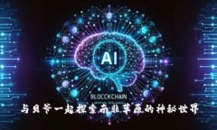 与贝爷一起探索南非草原