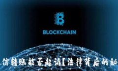   单凭微信转账能否起诉？