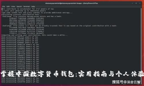 掌握中国数字货币钱包：实用指南与个人体验