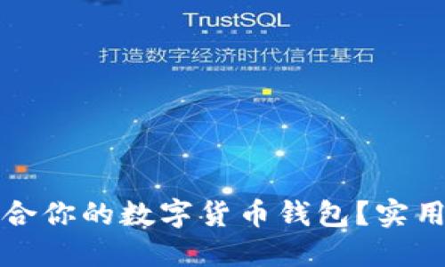 如何选择适合你的数字货币钱包？实用指南与推荐