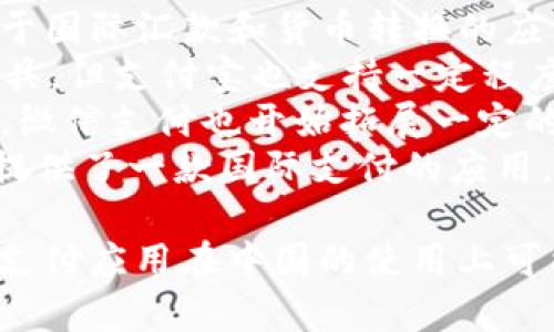 在中国，国际支付应用程序的一些常见名称包括：

1. **PayPal** - 作为全球知名的在线支付平台，PayPal在中国也有一定的用户基础。
2. **Wise**（原TransferWise） - 这是一个专注于国际汇款和货币转换的应用，虽然在中国的知名度较低，但仍被一些用户使用。
3. **Alipay**（支付宝） - 虽然主要是国内支付工具，但支付宝也支持一定程度的国际支付，用户可以使用其“国际汇款”功能。
4. **WeChat Pay**（微信支付） - 类似于支付宝，微信支付也开始拓展一定的国际支付业务。
5. **Revolut** - 这个来自英国的金融科技公司提供了一款国际支付的应用，它在中国吸引了一定数量的用户。

需要注意的是，中国的市场环境较为特殊，很多国际支付应用在中国的使用上可能会遇到一些限制或竞争问题。