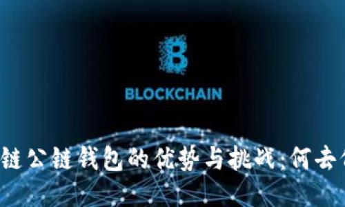 区块链公链钱包的优势与挑战：何去何从？