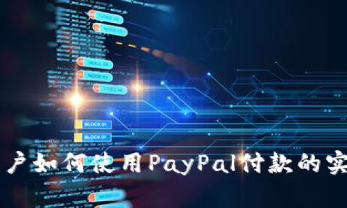 中国用户如何使用PayPal付款的实用指南