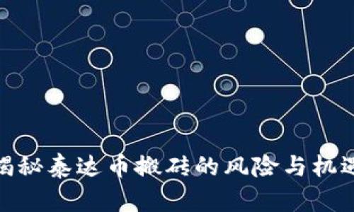 揭秘泰达币搬砖的风险与机遇