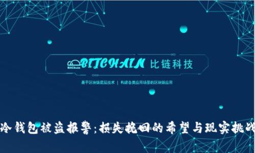 冷钱包被盗报警：损失挽回的希望与现实挑战