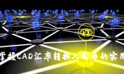 轻松掌握CAD汇率转换人民币的实用技巧