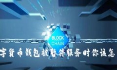 当数字货币钱包被暂停服