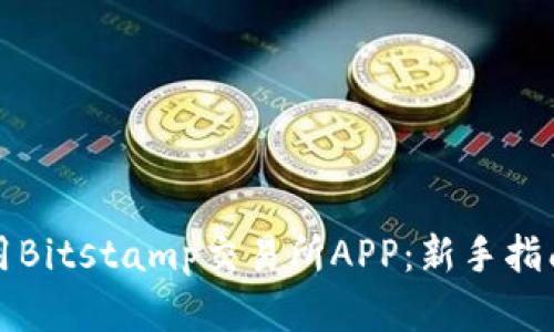 如何高效使用Bitstamp交易所APP：新手指南与实用技巧