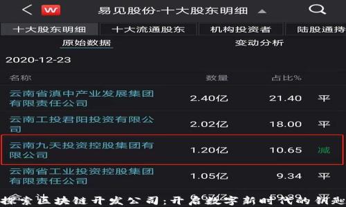 
探索区块链开发公司：开启数字新时代的钥匙