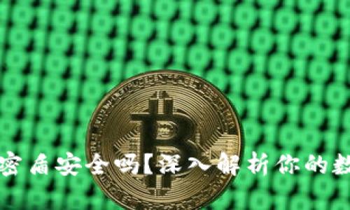 虚拟币钱包密盾安全吗？深入解析你的数字资产保护