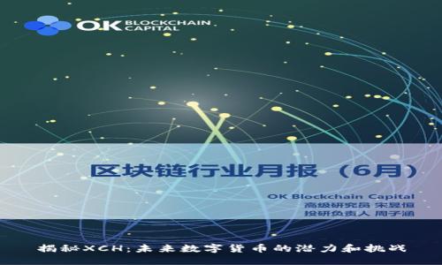 揭秘XCH：未来数字货币的潜力和挑战