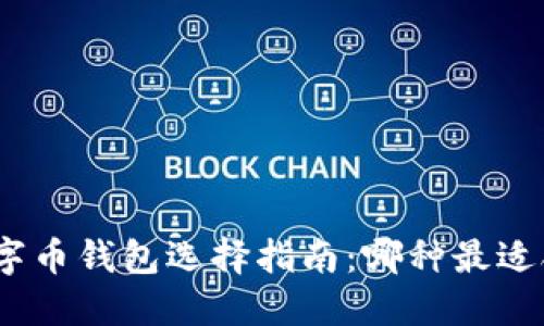 : 数字币钱包选择指南：哪种最适合你？