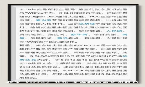 探索 VIPPay 钱包：全面指南与使用技巧