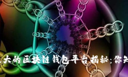 全球最大的区块链钱包平台揭秘：你知道吗？