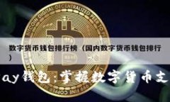 揭秘BitPay钱包：掌握数字