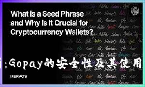 深入分析：Gopay的安全性及其使用注意事项