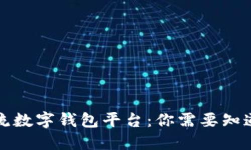 解密主流数字钱包平台：你需要知道的一切