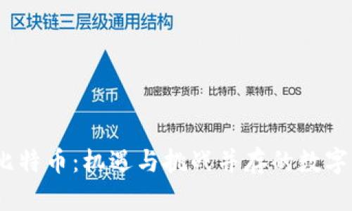 2021年比特币：机遇与挑战并存的数字黄金之路