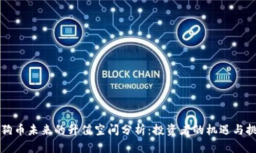 狗狗币未来的升值空间分析：投资者的机遇与挑战