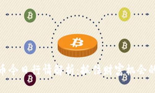 狗狗币今日行情解析：抓住财富机会的关键