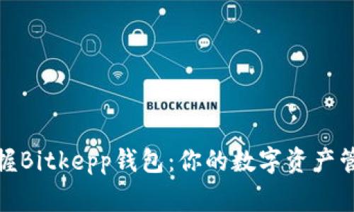 全面掌握Bitkepp钱包：你的数字资产管理专家