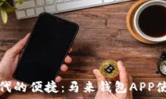   数字时代的便捷：马来钱