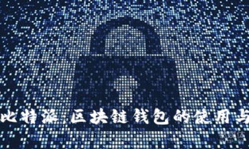 全面解析比特派：区块链钱包的使用与安全指南