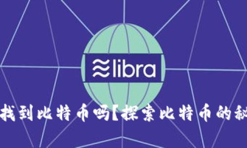 有私钥能找到比特币吗？探索比特币的秘密与风险