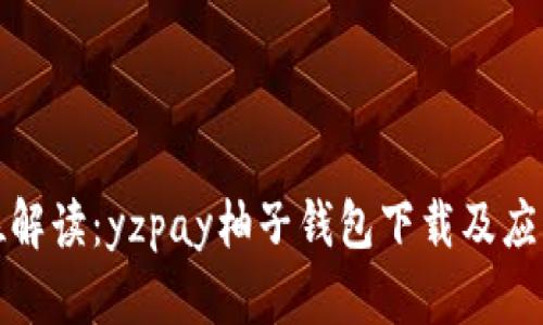 全方位解读：yzpay柚子钱包下载及应用技巧